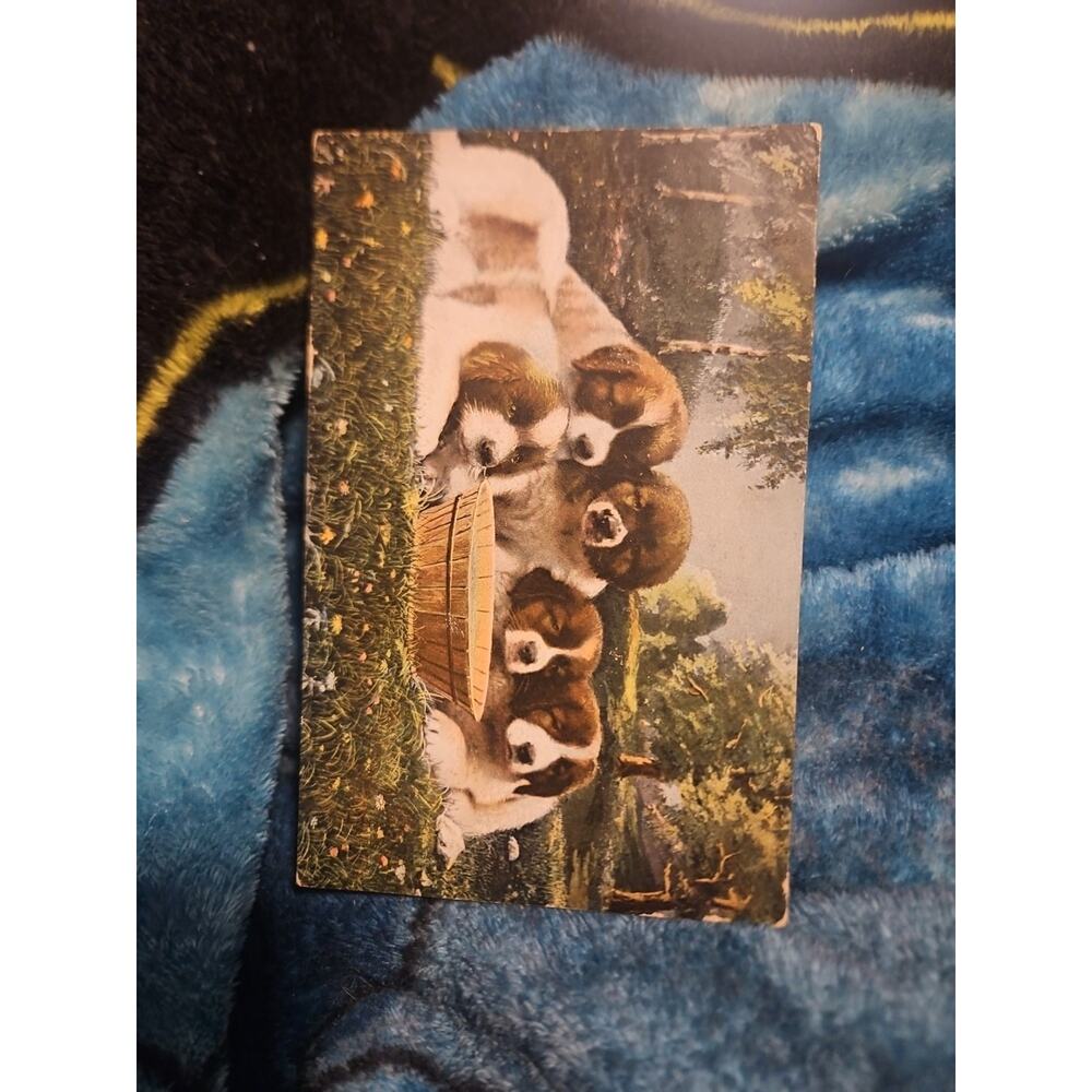 Victorian Puppy Photo, Pennsylvania. Posted. Post Card